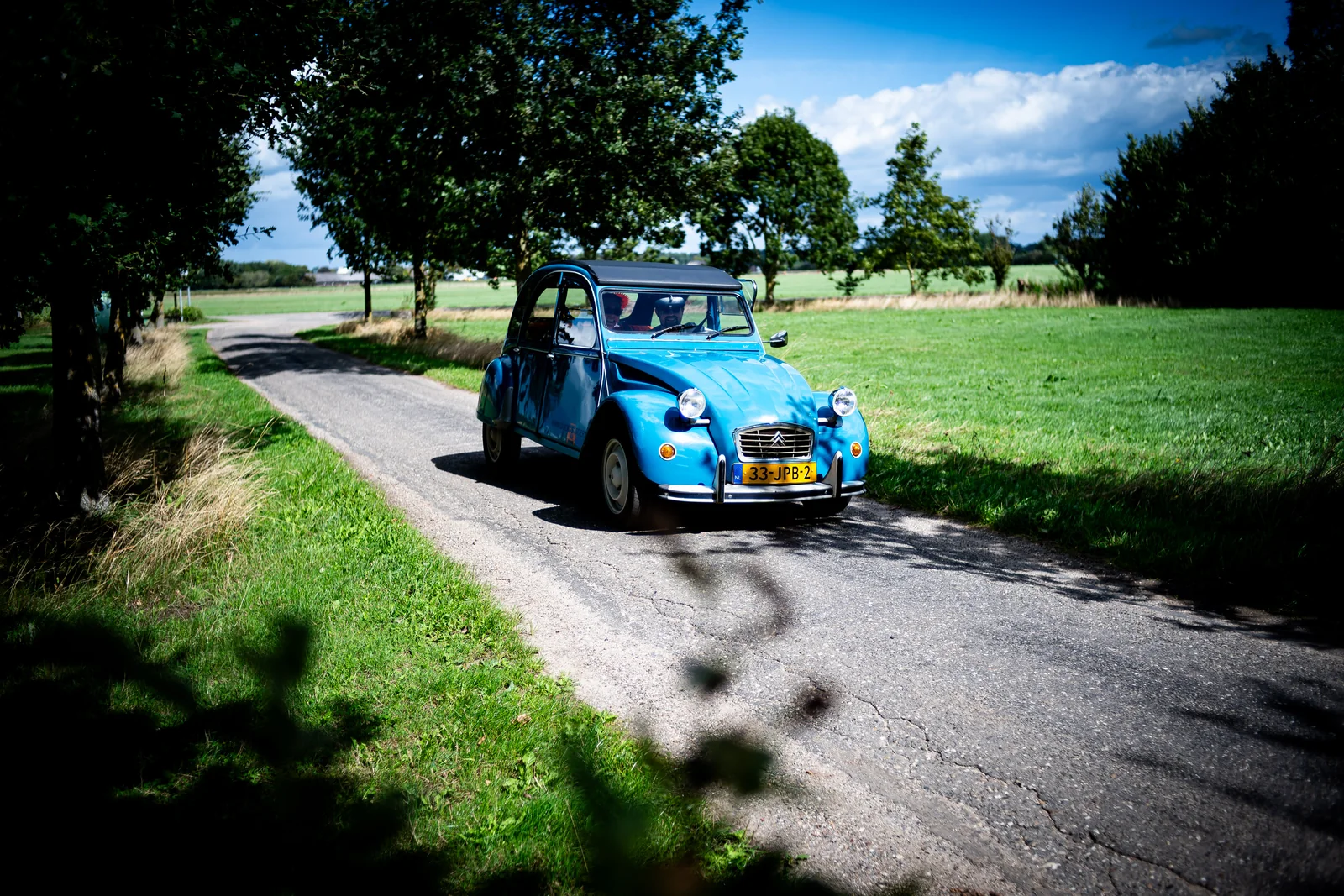 Een blauwe eend op een landweggetje in de Achterhoek, foto door Raymond Rothengatter