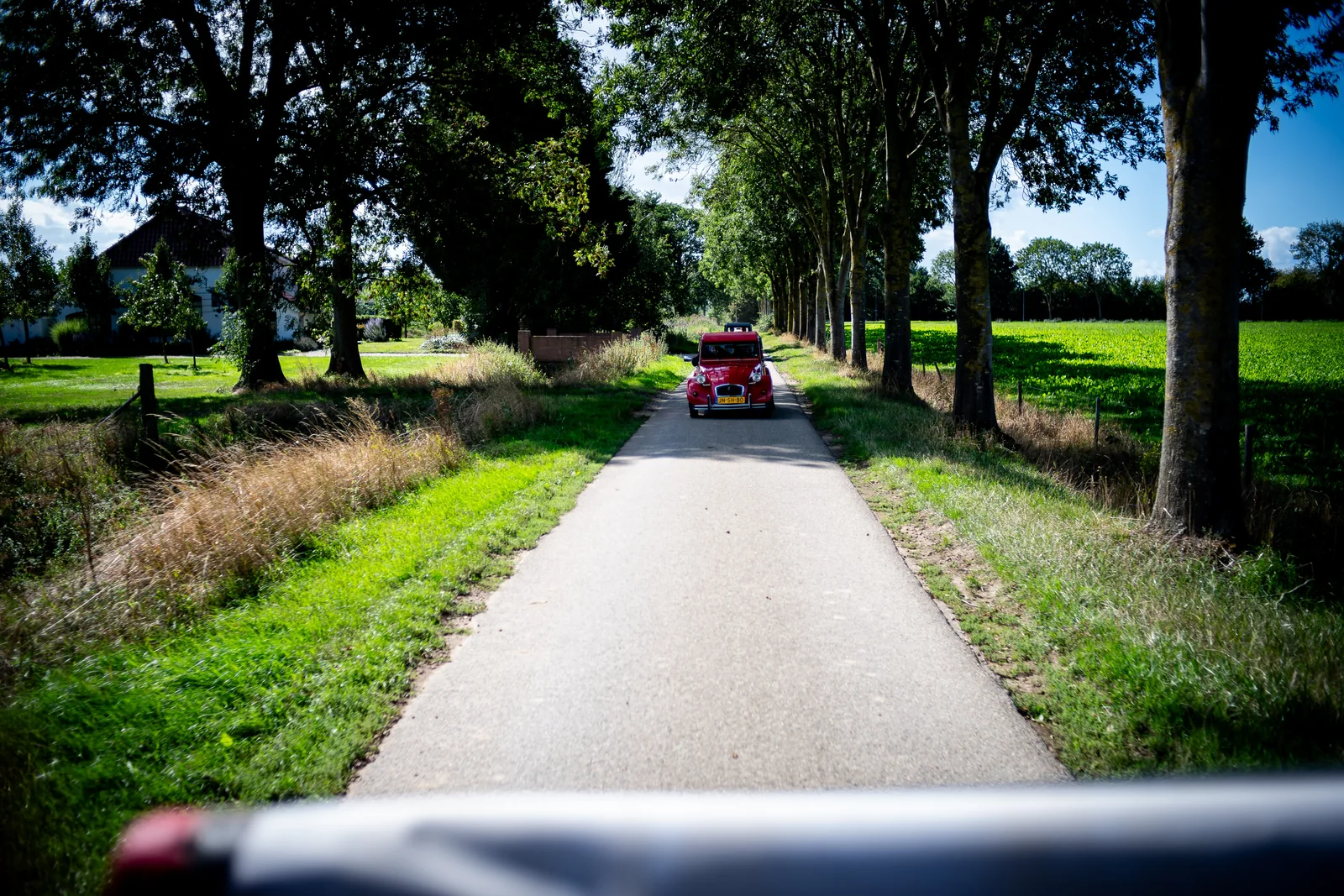 De colonne eendjes rijdt door een laan met bomen aan weerszijden, foto door Raymond Rothengatter