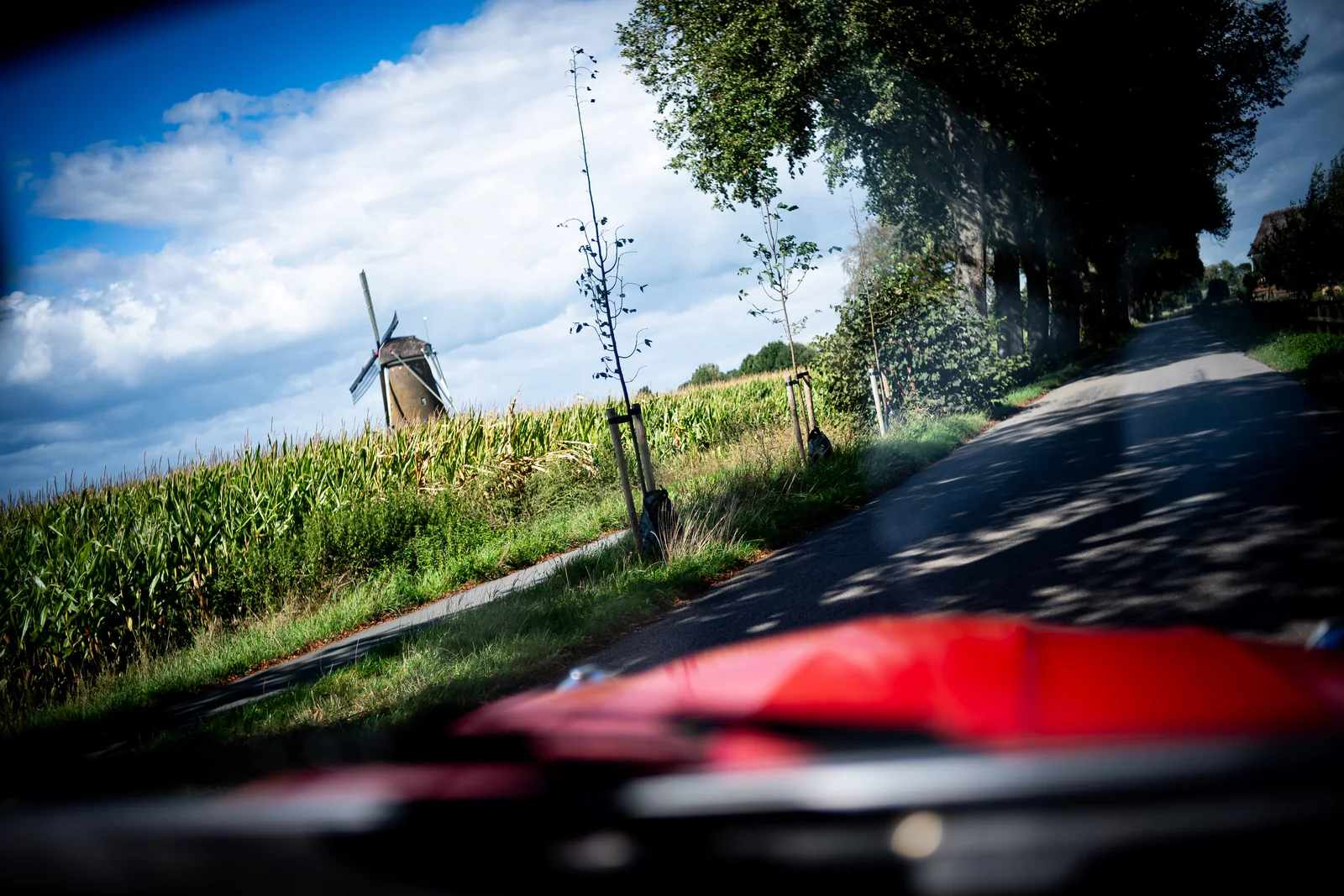 Uitzicht op een molen tussen de maisvelden, foto door Raymond Rothengatter