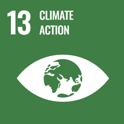 SDG 13: Klimaatactie